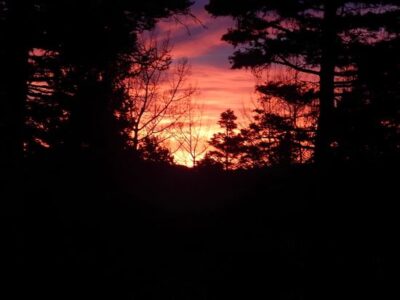 Organized Community Homesteading Image